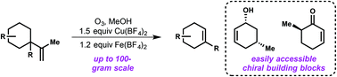 Graphical abstract: Scalable procedure for the fragmentation of hydroperoxides mediated by copper and iron tetrafluoroborate salts