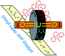 Graphical abstract: Exploring the catalytic activity of Lewis-acidic uranyl complexes in the nucleophilic acyl substitution of acid anhydrides