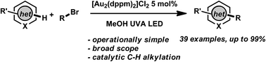 Graphical abstract: Direct alkylation of heteroarenes with unactivated bromoalkanes using photoredox gold catalysis