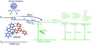 Graphical abstract: Stable green phosphorescence organic light-emitting diodes with low efficiency roll-off using a novel bipolar thermally activated delayed fluorescence material as host