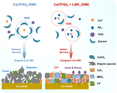 Revisiting the interfacial chemistry of calcium metal anodes: the importance of inorganic-rich solid/electrolyte interfaces derived from an aggregation-dominated electrolyte