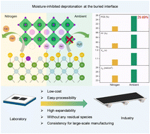 Moisture-inhibited deprotonation at the buried interface enables efficient perovskite solar cells with a high fill factor of over 86%