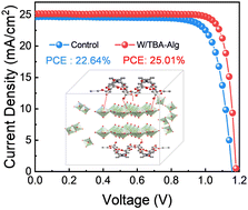 Biomass-derived functional additive for highly efficient and stable lead halide perovskite solar cells with built-in lead immobilisation