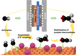 Single-atom mediated crystal facet engineering for the exceptional production of acetate in CO electrolysis