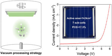 Fully evaporated interfacial layers for high-performance and batch-to-batch reproducible organic solar modules
