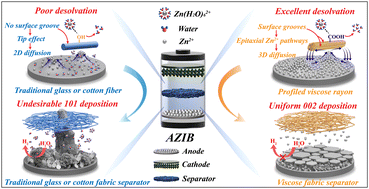 Reconfiguring Zn deposition dynamics via an epitaxial Zn2+ pathway in profiled viscose rayon for long-cyclability zinc-ion batteries