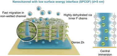 Developing low-resistance ion migration pathways using perfluorinated chain-decorated COFs for enhanced performance in zinc batteries
