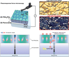 Efficient charge separation at localized 2D ferroelectric domains in perovskite solar cells