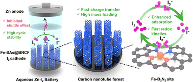 Nano-carbon supported B/N-coordinated Fe single atoms with a tuned electronic structure for long lifespan zinc–iodine batteries
