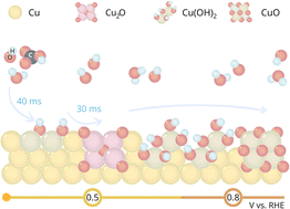 The electrode–electrolyte interface of Cu via modulation excitation X-ray absorption spectroscopy