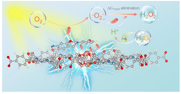 Enhanced redox kinetics for hydrogen peroxide photosynthesis at high-concentration by encapsulating porphyrin metal–organic frameworks with phenolic resin