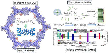 Enhanced interfacial Zn2+ desolvation kinetics by a π-electron-rich Janus catalyst for robust Zn–metal batteries