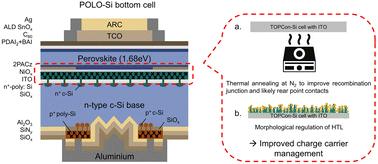 Charge carrier management for highly efficient perovskite/Si tandem solar cells with poly-Si based passivating contacts