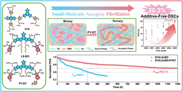 Constructing continuous acceptor fibrillar networks and achieving uniform phase separation via polymer-assisted morphology control for 20.3% efficiency additive-free organic solar cells