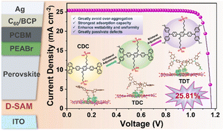 A spatial structure regulation strategy modulated the solubility and compactness of novel face-on oriented bisphosphonate-anchored SAMs for efficient inverted perovskite solar cells