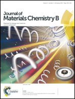 Journal cover: Journal of Materials Chemistry B