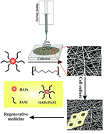 Graphical abstract: Novel three-dimensional, conducting, biocompatible, porous, and elastic polyaniline-based scaffolds for regenerative therapies
