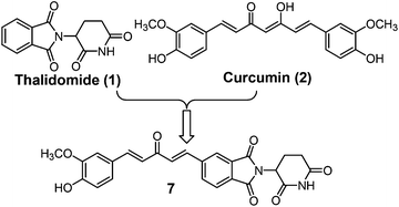 Graphical abstract: Design and biological characterization of hybrid compounds of curcumin and thalidomide for multiple myeloma