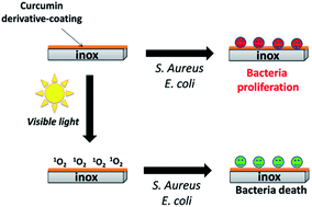 Graphical abstract: Photoinduced curcumin derivative-coatings with antibacterial properties