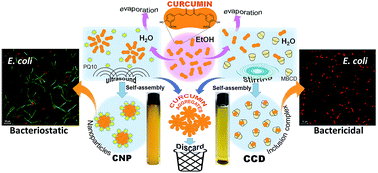 Graphical abstract: The mode of antimicrobial action of curcumin depends on the delivery system: monolithic nanoparticles vs. supramolecular inclusion complex