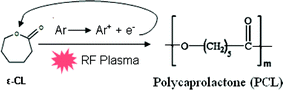 ROP mechanism of ε-CL via electron impact.