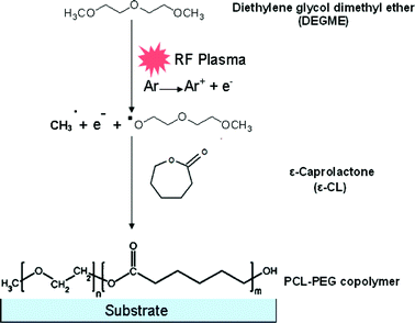 PCL-co-PEG polymer synthesis in the pulsed plasma discharge.