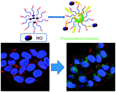 Graphical abstract: Intracellular nitric oxide delivery from stable NO-polymeric nanoparticle carriers