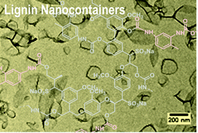 Graphical abstract: Biodegradable lignin nanocontainers