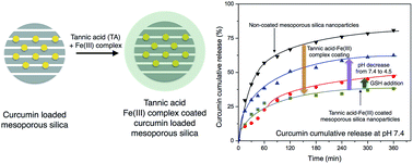 Graphical abstract: pH- and glutathione-responsive release of curcumin from mesoporous silica nanoparticles coated using tannic acid–Fe(iii) complex