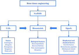 Graphical abstract: Biomaterials for bone tissue engineering scaffolds: a review