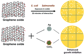 Graphical abstract: Key parameters to enhance the antibacterial effect of graphene oxide in solution