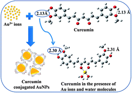 Graphical abstract: In situ synthesis and surface functionalization of gold nanoparticles with curcumin and their antioxidant properties: an experimental and density functional theory investigation
