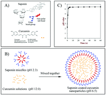 Graphical abstract: Improving curcumin solubility and bioavailability by encapsulation in saponin-coated curcumin nanoparticles prepared using a simple pH-driven loading method