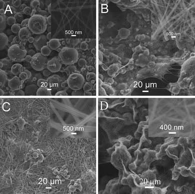 
          SEM images of products obtained by adding 40 μL gold bath into the DMF–H2O mixture containing (A) 60, (B) 235, and (C) 285 μL H2O at room temperature; D shows the SEM image of the products obtained by adding 40 μL gold bath into the DMF–H2O mixture containing 60 μL H2O at 4 °C (the total volume of the mixture solution for each preparation is 1 mL).