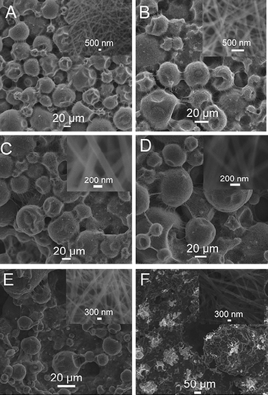 
          SEM images of the products formed by adding (A) 5, (B) 10, (C) 20, (D) 40, (E) 100, and (F) 400 μL gold bath into DMF, where the total volume of the mixture solution is 1 mL. Inset: a local view of the structures.