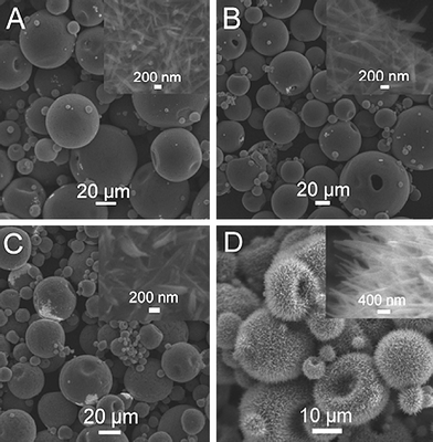 
          SEM images of the products formed by adding (A) 5, (B) 10, (C) 20, and (D) 40 μL gold bath into IPA, where the total volume of the mixture solution is 1 mL.