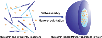 Preparation scheme of Cur/MPEG-PCL micelles using a nano-precipitation method. Adding curcumin and MPEG-PCL co-dissolved acetone solution into water resulted in the precipitation of MPEG-PCL and curcumin; in this process, MPEG-PCL self-assembled into core-shell structured micelles with core-encapsulated curcumin.
