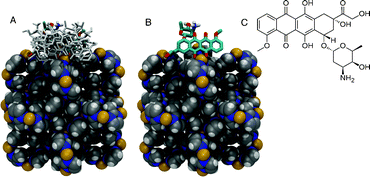 Representation of the ZIF-8 (in van der Waals spheres) crystallographic unit cell and the docked conformations of doxorubicin in stick. (A) Ten lowest energy conformations of doxorubicin bound to the X-ray structure of ZIF-8. (B) The lowest energy conformation with an occurrence of ca. 70% among the 100 lowest energy conformers selected from a total of 1.35 × 108 sampled conformations. (C) Chemical structure of doxorubicin. Carbon atoms in grey, nitrogen in blue, hydrogen in white, and Zn2+ cations in yellow.