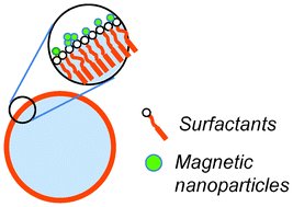 Graphical abstract: Compressible multi-scale magnetic constructs: decorating the outer surface of self-assembled microbubbles with iron oxide nanoparticles