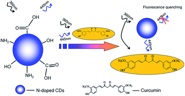 Graphical abstract: Nitrogen-doped carbon dots as fluorescent probe for detection of curcumin based on the inner filter effect