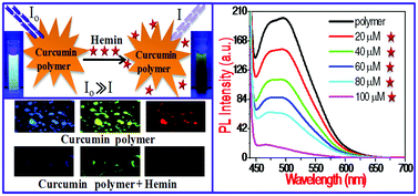 Graphical abstract: Enhanced fluorescence quenching of hemin detected by a novel polymer of curcumin