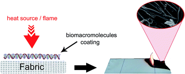 Graphical abstract: Biomacromolecules as novel green flame retardant systems for textiles: an overview