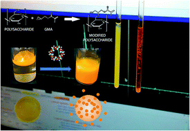 Graphical abstract: Synthesis and controlled curcumin supramolecular complex release from pH-sensitive modified gum-arabic-based hydrogels