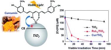 Graphical abstract: Visible light sensitization of TiO2 nanoparticles by a dietary pigment, curcumin, for environmental photochemical transformations