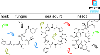 Graphical abstract: Bacterial symbionts and natural products