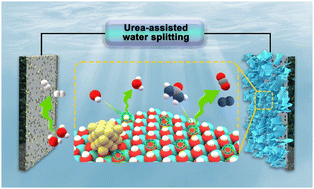 Graphical abstract: Modulating the electronic structure of Ni(OH)2 by coupling with low-content Pt for boosting the urea oxidation reaction enables significantly promoted energy-saving hydrogen production