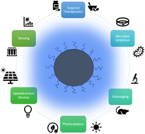 Graphical abstract: Effect of precursors on carbon dot functionalization and applications: a review