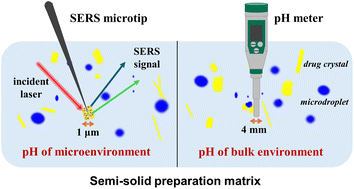 Graphical abstract: Surface enhanced Raman scattering microtips for microenvironment pH determination of semi-solid preparations