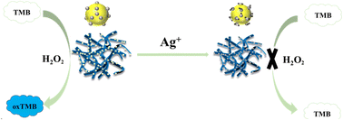 Graphical abstract: Self-reduction of gold@platinum bimetallic nanoparticles on Ti3C2Tx MXene nanoribbons coupled with hydrogel and smartphone technology for colorimetric detection of silver ions