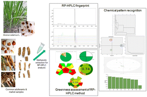 Graphical abstract: Integrating a greener RP-HPLC method and chemical pattern recognition for the identification of Acorus calamus L. and its common adulterants in Indian markets